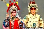 状元媒下载