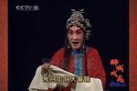 双错遗恨下载
