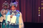 狸猫换太子 全集