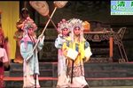 徐杨保国 全集下载