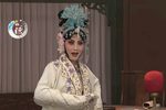 画皮 愿早日除妖魔雪此深冤 选段下载