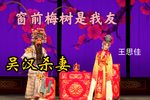 吴汉杀妻