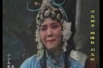 蝴蝶杯 选段下载