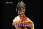 吴汉杀妻下载