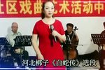 白蛇传 选段
