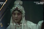 蝴蝶杯下载