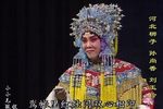 孙尚香下载