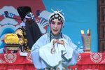 秦香莲 全集下载