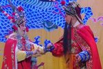 南北合 巡营下载