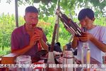 河南豫剧 选段