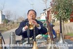 河南曲剧 选段