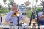 河南曲剧 选段