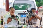 河南曲剧 选段