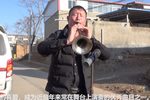 黄土情 选段