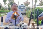 河南曲剧 选段