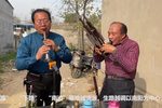 河南越调下载