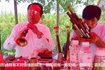 河南曲剧 选段