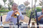 河南曲剧 选段
