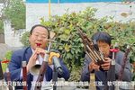 河南曲剧 选段
