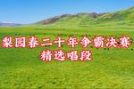 梨园春二十年争霸决赛精选唱段