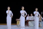 大槐树的故事下载