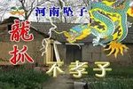 龙抓不孝子下载