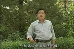 小八义 上集下载
