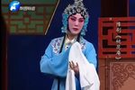 桃花庵下载