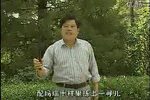 小八义