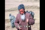 老来难/十大劝/报母恩下载
