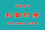 刘云打母下载