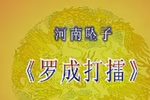 罗成打擂下载