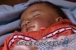 报母恩下载