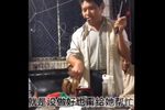 孬老婆劝闺女 选段下载