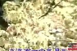 罗成算卦下载