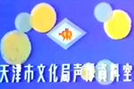 宝玉探晴雯下载