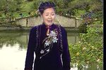 大红袍第二部下载