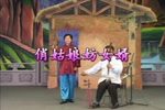 俏姑娘妨女婿 选段