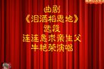 泪洒相思地 选段