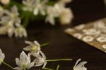 武则天 选段下载