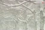 鞭打芦花下载