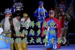 杨排风大战双龙谷下载