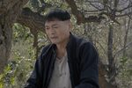 李祥和的婚事下载