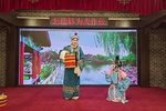 狸猫换太子 上集下载