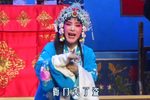 陈三两 全集下载