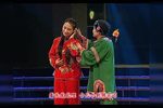 桑林收子 选段