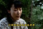 小寡妇上坟下载