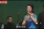 河南曲剧名家张兰珍专场晚会05