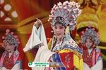 打金枝 选段