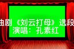 刘云打母